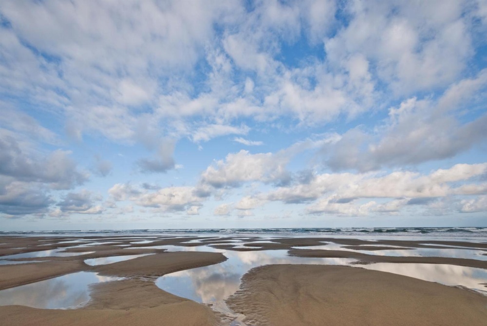 645 N Pacific St Townhouse Unit A Main image