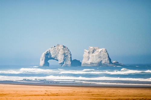 645 N Pacific St Townhouse Unit A image 4